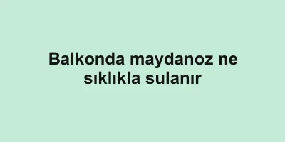 Balkonda maydanoz ne sıklıkla sulanır