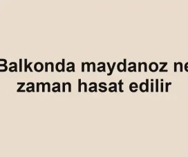 Balkonda maydanoz ne zaman hasat edilir