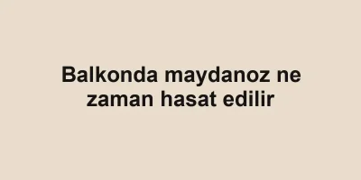Balkonda maydanoz ne zaman hasat edilir