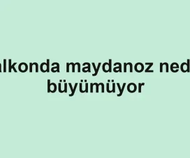 Balkonda maydanoz neden büyümüyor