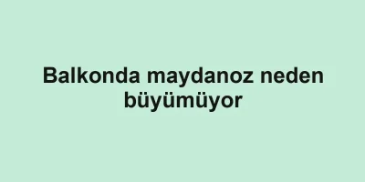 Balkonda maydanoz neden büyümüyor