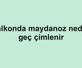 Balkonda maydanoz neden geç çimlenir