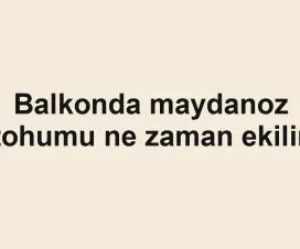 Balkonda maydanoz tohumu ne zaman ekilir
