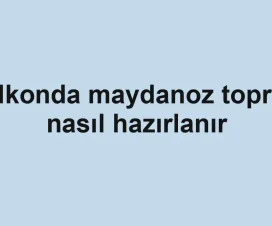 Balkonda maydanoz toprağı nasıl hazırlanır