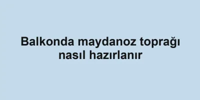 Balkonda maydanoz toprağı nasıl hazırlanır