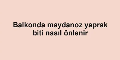Balkonda maydanoz yaprak biti nasıl önlenir