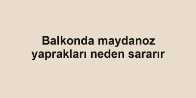 Balkonda maydanoz yaprakları neden sararır