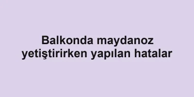Balkonda maydanoz yetiştirirken yapılan hatalar