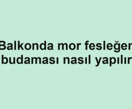 Balkonda mor fesleğen budaması nasıl yapılır