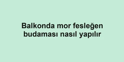 Balkonda mor fesleğen budaması nasıl yapılır