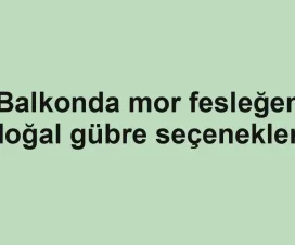 Balkonda mor fesleğen doğal gübre seçenekleri