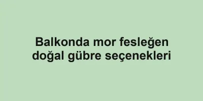 Balkonda mor fesleğen doğal gübre seçenekleri