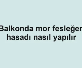 Balkonda mor fesleğen hasadı nasıl yapılır