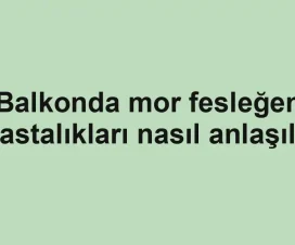 Balkonda mor fesleğen hastalıkları nasıl anlaşılır