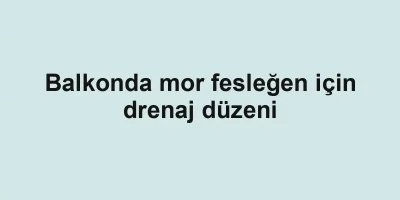 Balkonda mor fesleğen için drenaj düzeni