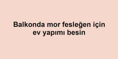 Balkonda mor fesleğen için ev yapımı besin
