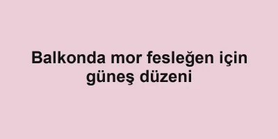 Balkonda mor fesleğen için güneş düzeni