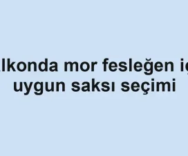 Balkonda mor fesleğen için uygun saksı seçimi