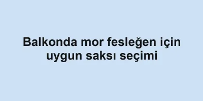 Balkonda mor fesleğen için uygun saksı seçimi