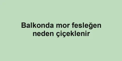 Balkonda mor fesleğen neden çiçeklenir