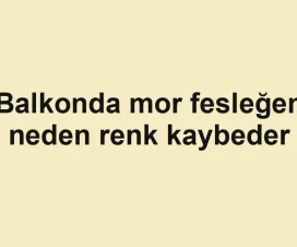 Balkonda mor fesleğen neden renk kaybeder