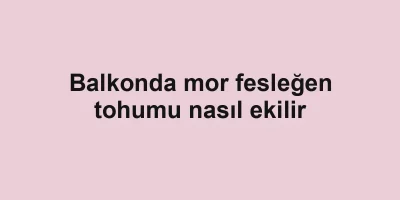 Balkonda mor fesleğen tohumu nasıl ekilir