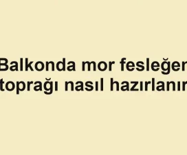 Balkonda mor fesleğen toprağı nasıl hazırlanır