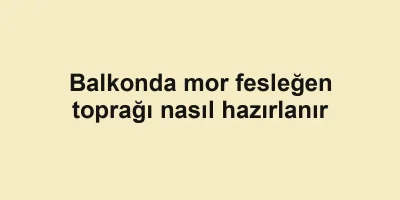 Balkonda mor fesleğen toprağı nasıl hazırlanır