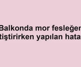 Balkonda mor fesleğen yetiştirirken yapılan hatalar