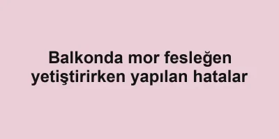 Balkonda mor fesleğen yetiştirirken yapılan hatalar