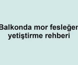 Balkonda mor fesleğen yetiştirme rehberi