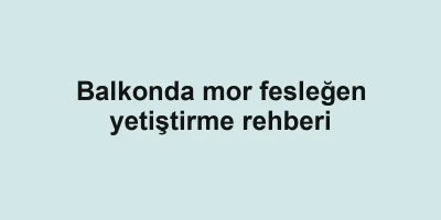 Balkonda mor fesleğen yetiştirme rehberi