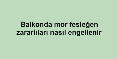 Balkonda mor fesleğen zararlıları nasıl engellenir