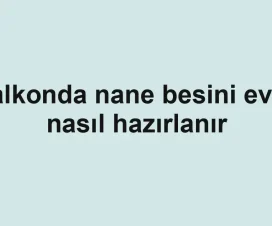 Balkonda nane besini evde nasıl hazırlanır