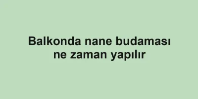 Balkonda nane budaması ne zaman yapılır