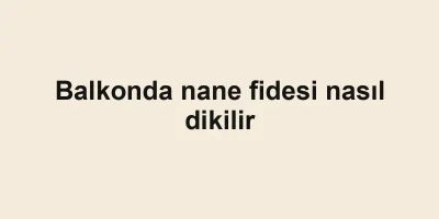 Balkonda nane fidesi nasıl dikilir