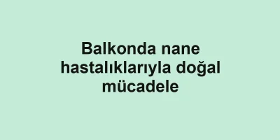 Balkonda nane hastalıklarıyla doğal mücadele
