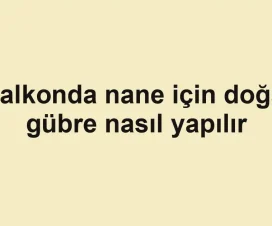 Balkonda nane için doğal gübre nasıl yapılır