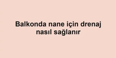 Balkonda nane için drenaj nasıl sağlanır