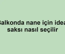 Balkonda nane için ideal saksı nasıl seçilir