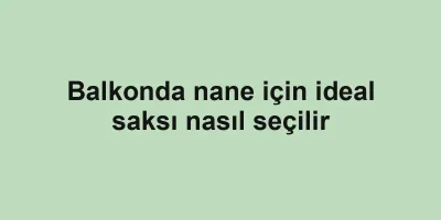 Balkonda nane için ideal saksı nasıl seçilir