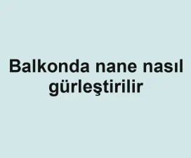 Balkonda nane nasıl gürleştirilir
