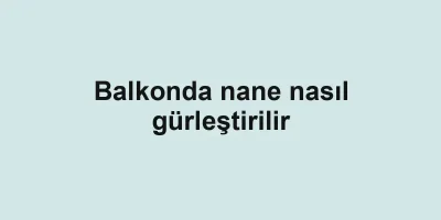 Balkonda nane nasıl gürleştirilir