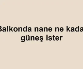 Balkonda nane ne kadar güneş ister