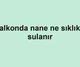 Balkonda nane ne sıklıkla sulanır
