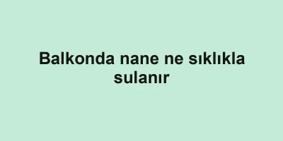 Balkonda nane ne sıklıkla sulanır