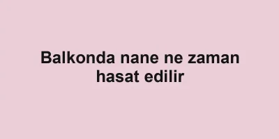 Balkonda nane ne zaman hasat edilir