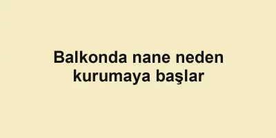 Balkonda nane neden kurumaya başlar