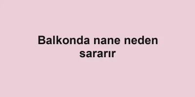 Balkonda nane neden sararır
