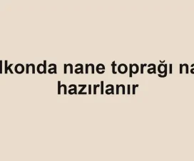 Balkonda nane toprağı nasıl hazırlanır